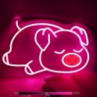 Pink Pig